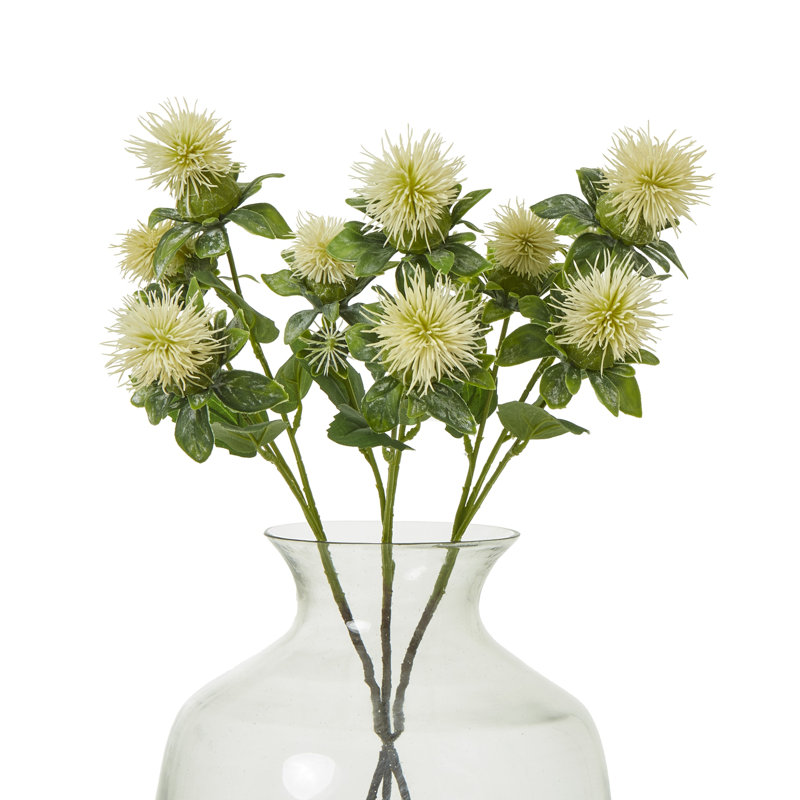 Anastasija Arrangement, Cream