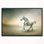 " White Horse In Motion "-26691406