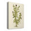 Olive Greenery II - peinture sur toile tendue-390728468