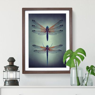 Spellbounding Dragonflies - Framed Print