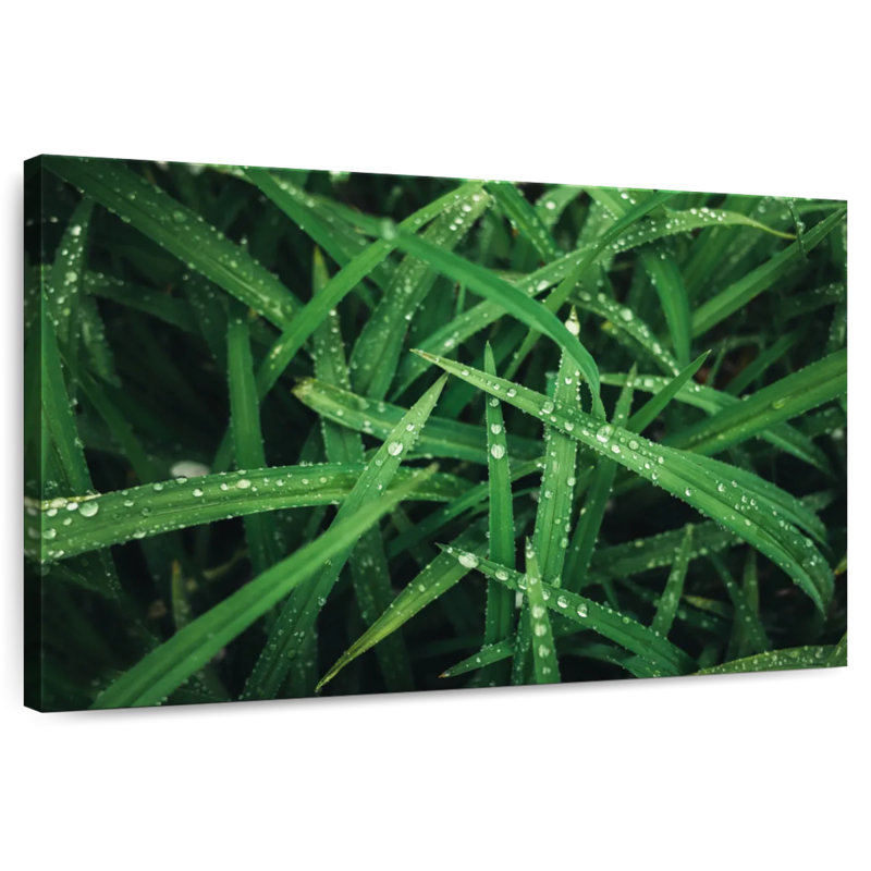 Harnek Grass Morning Dew, 20" H x 30" W