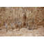 Lyric Lead Crystal Beverage Dispenser