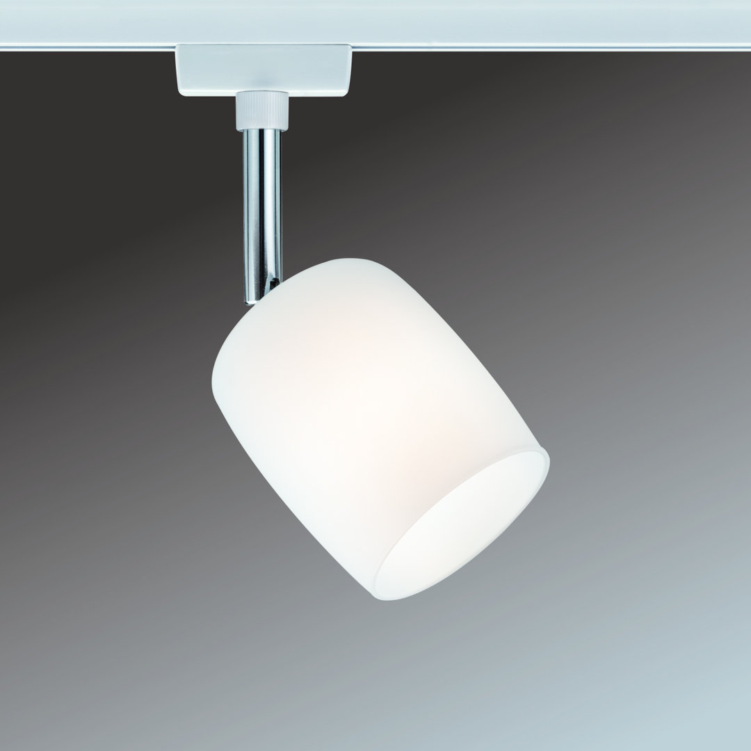 Paulmann Licht Paulmann Design URail No. 95342 URail Spot Blossom Weiß Satinglas max. 10W