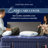 Stearns & Foster Lux Estate Pillow-88304441-124173424