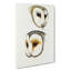 Illustration Of Two Owls by John Gould - Wrapped Canvas Painting-55362989
