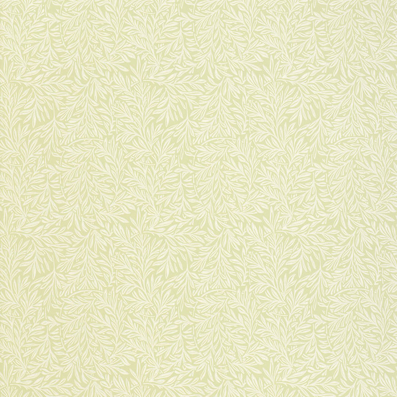 Papier peint Willow Leaf, ISE