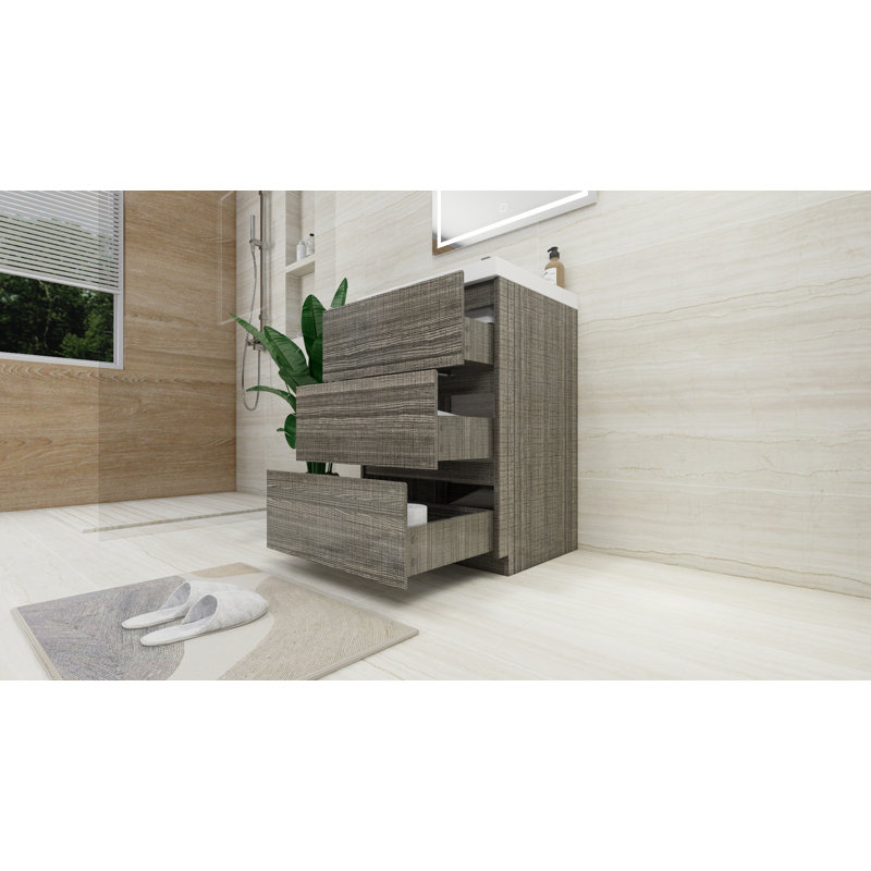 Hridhaan 23.5'' Single Bathroom Vanity with Plastic Top, High Gloss Ash Gray