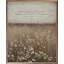 Be Kind And Helpful Flower Field Ephesians 4 32-1287510501