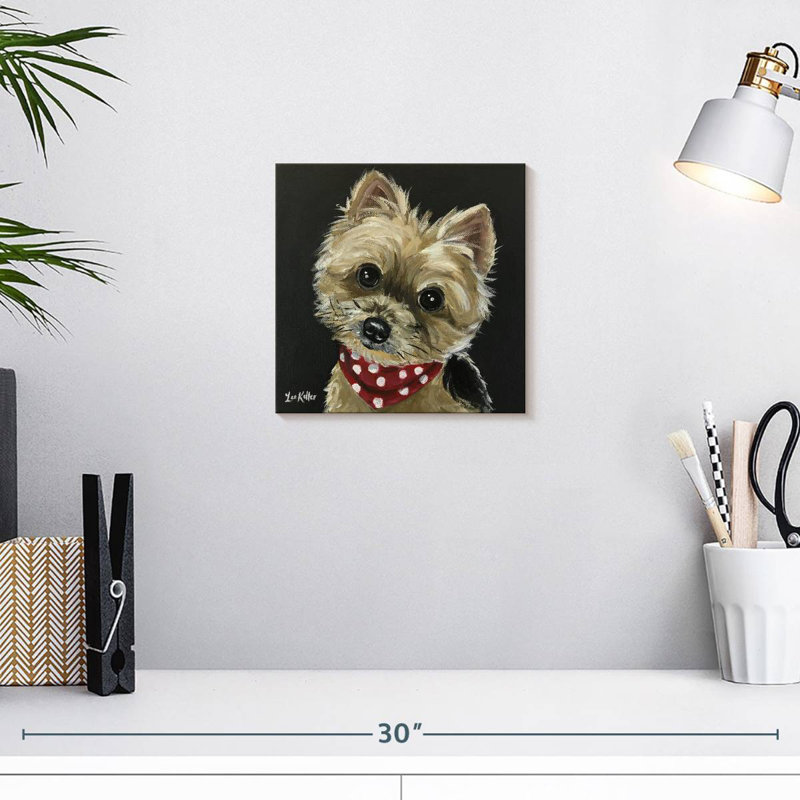 Crowle Yorkie - bandana rouge, H 10 po x l 10 po