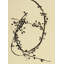 From The VIne C Print by Hable Construction-459405920