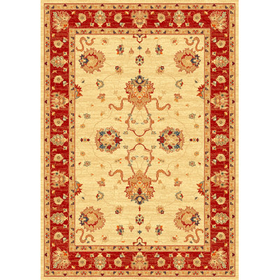 Oriental Wool Area Rug