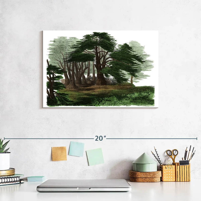 Lebanese Cedar Trees, 8" H x 12" W