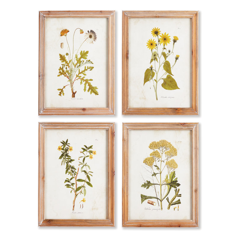 Libourne Wildflower Study - Ensemble de 4 reproductions de cadres photo