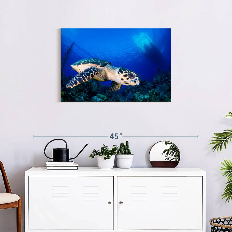 Brampt Underwater Hawksbill Turtle, 20" H x 30" W