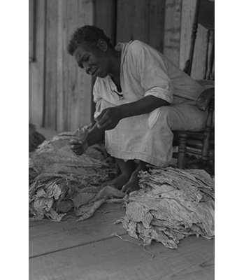 « black sharecropper tris tabacs », reproduction de photo