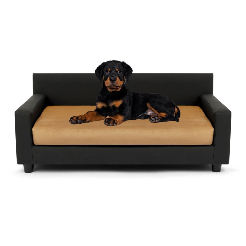 Canapé-lit orthopédique pour chien Dream Haven - Taupe, Grand (H 16 po x l 40 po x P 26 po), Brun clair