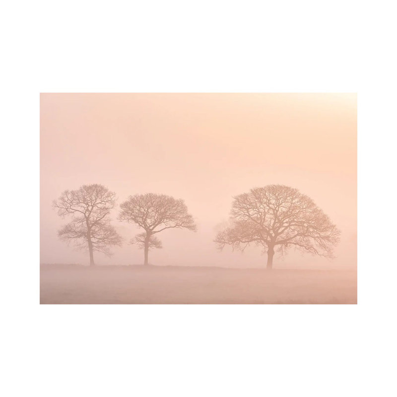 The Peach Trees par - Toile tendue, H 18 po x l 26 po x P 1,5 po