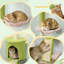 240cm H Cat Tree
