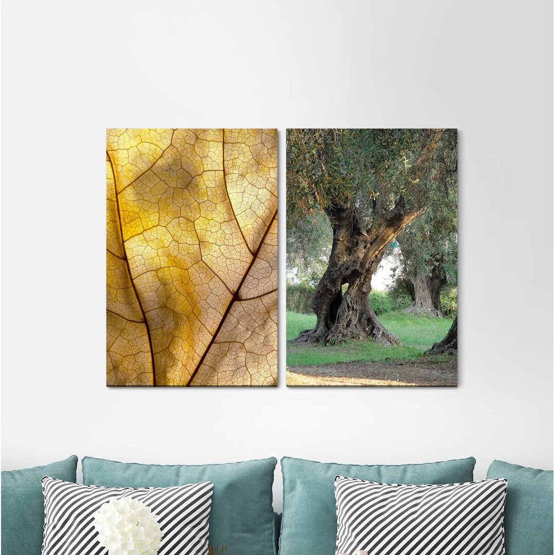 2-tlg. Leinwandbilder-Set - Fotografie „Golden Olive Tree Leaf Structure Nature”