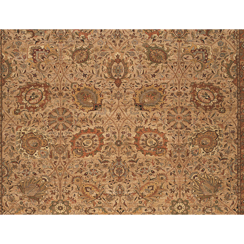 Wool Oriental Area Rug in Gold