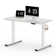 Dojtcho Home Office Adjustable Standing Desk
