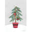 Arbre de Noël 2883495-324330094-324330106-317955633