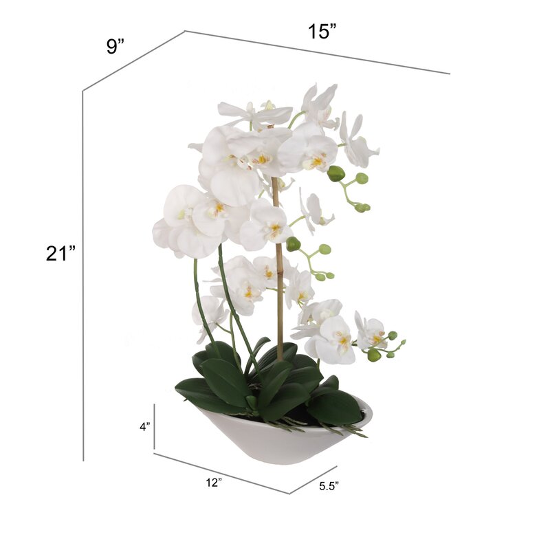 Beachcrest Home Silk Orchids Arrangement in Vase & Reviews | Wayfair