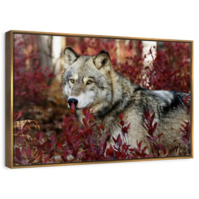 Loup caché