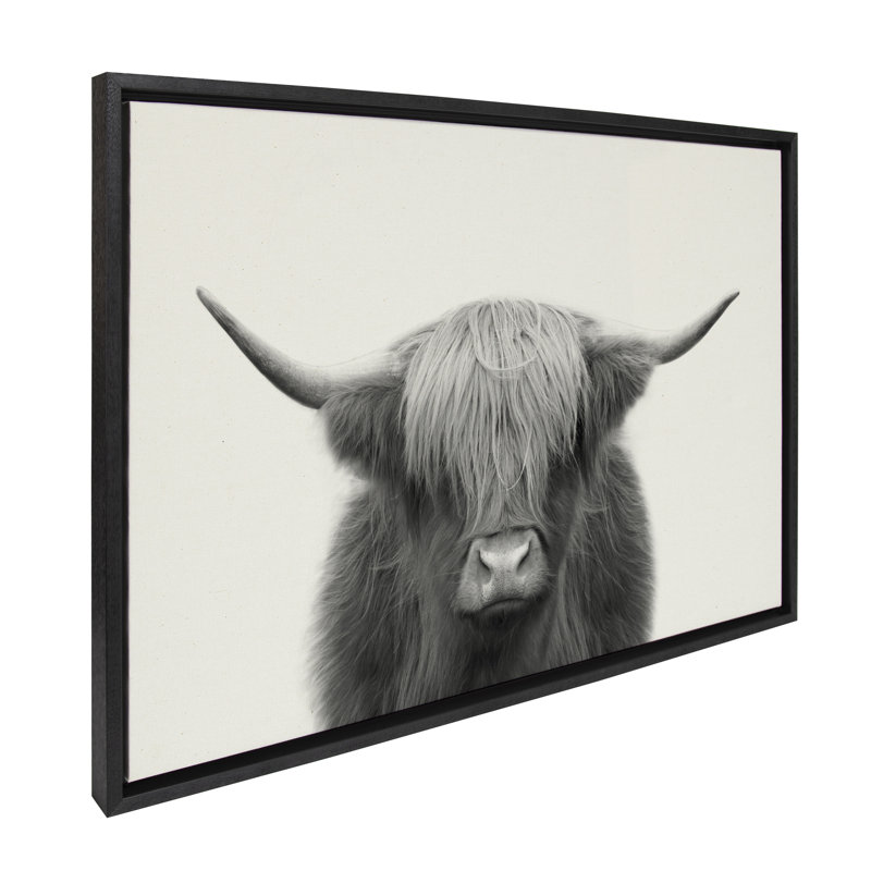«Hey Dude Highland Cow BW» par The Creative Bunch Studio, reproduction d'art sur toile encadrée, H 28 po x l 38 po, Noir
