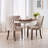 Upholstered Wing-Back Dining Chair With Backstitching Nailhead Trim And Solid Wood Legs-1489942511