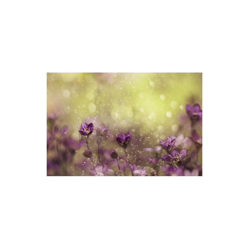 Wrapped Canvas Print, 60.96 cm H x 91.44 cm W