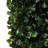 Boxwood Wall Panel Arrangement-119019713