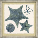 Ocean Jewel Collection 2 Painting
