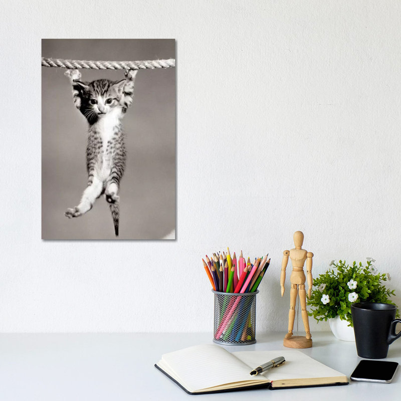 1950s Little Kitten Hanging From Rope Looking At Camera by Vintage Images - Wrapped Canvas Print