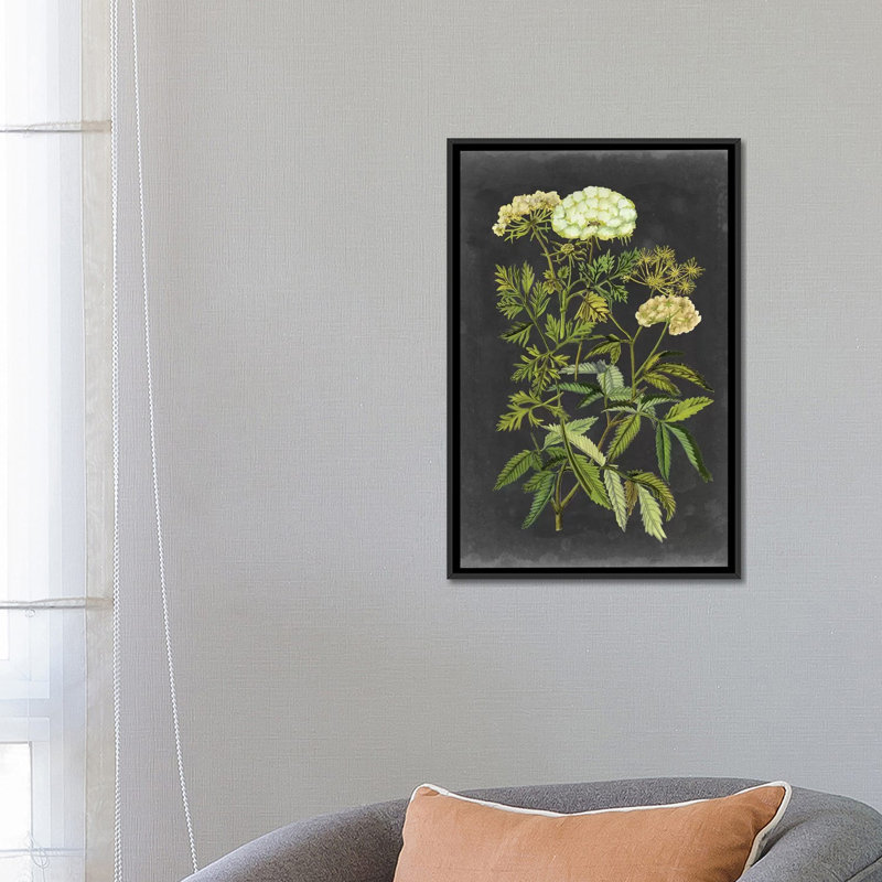 « bookplate floral i », impression sur toile, H 26 po x l 18 po x P 1,5 po, Toile avec cadre noir, Pas de tapis