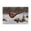 «Winter Walk Pheasant» par Berrien, impression sur toile tendue-27646395