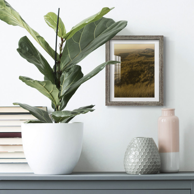 Amelia Island Stones -Gallery Wrapped Canvas