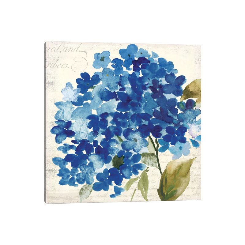 Hampton Hydrangea II by Asia Jensen - Wrapped Canvas Panoramic Painting, 30.48 cm H x 30.48 cm W
