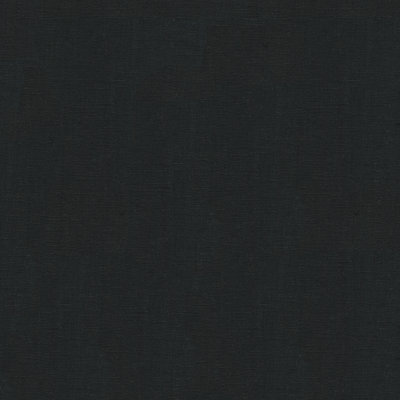 Perfect Plains Dublin Linen Fabric