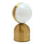 Metal Table Lamp