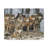 Wolf Pack Stretched Canvas Wall Art