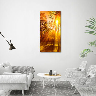 Park In The Fall - Wrapped Canvas Print