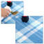 Picnic Blanket