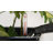 Self Watering Plastic Pot Planter-107316308