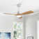 Ceiling Fan with LED Lights