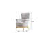 Chaise de style moderne Zoe faite de bois et d'accents dorés en gris Identique à B009P303215-1769173643