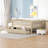Daybed Wood Bed with Two Drawers-1828347438-1828347437
