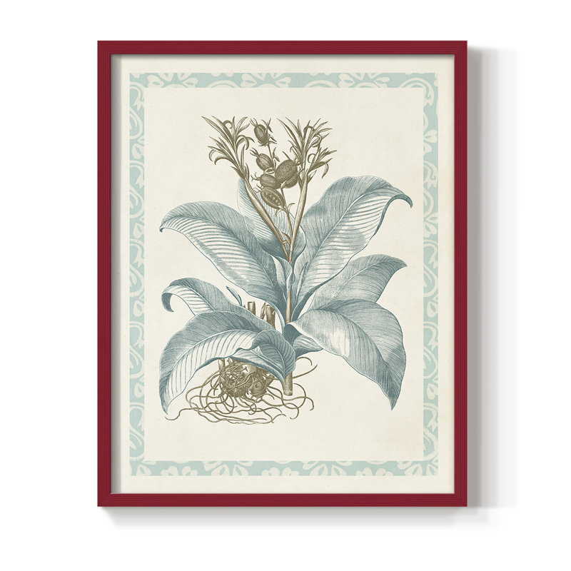 Reproduction encadrée Willow Blue Besler III - bois massif, Rouge, H 10 po x l 8 po