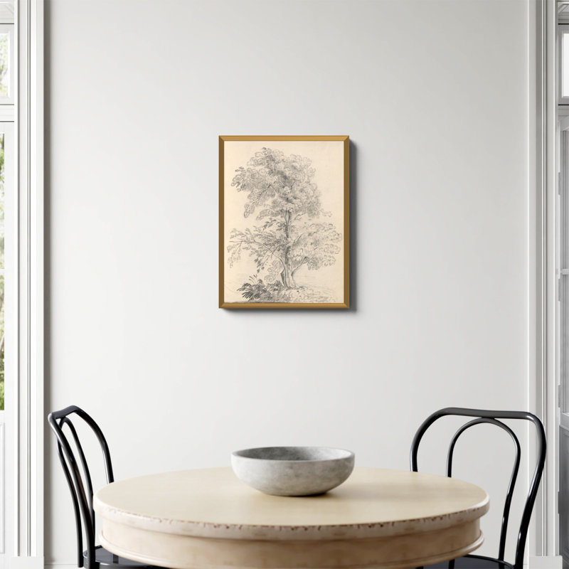 «Tree Sketch» par Wild Apple, Non, H 24 po x l 18 po, Papier avec cadre unique doré