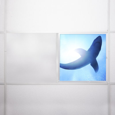Ocean Square Fixture Component Ceiling Light